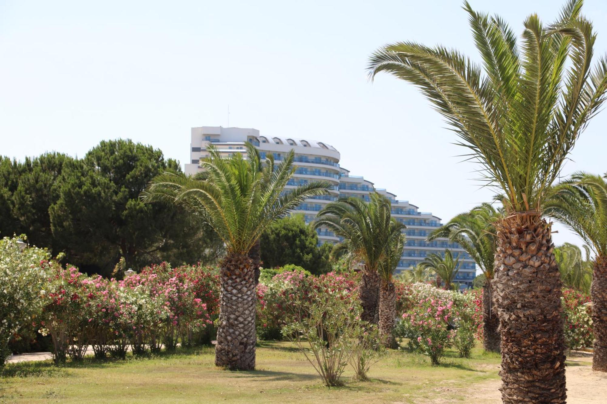 Venosa Beach Resort & Spa Didim Exterior photo